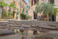 Groznjan, Istrien, Kroatien Spiegelung