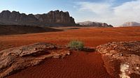 Ambiance du soir dans l'immensité du Wadi Rum