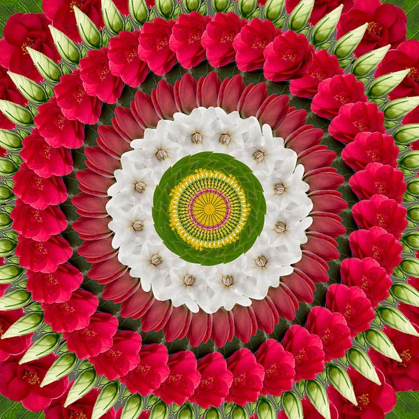 garland by Klaartje Majoor