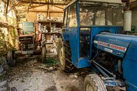 The Red and Blue Friends