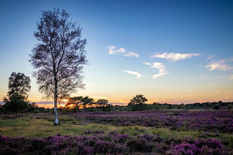 Cette étape par Johan Mooibroek