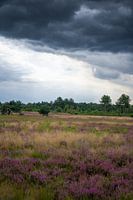 Dark skies over the moors