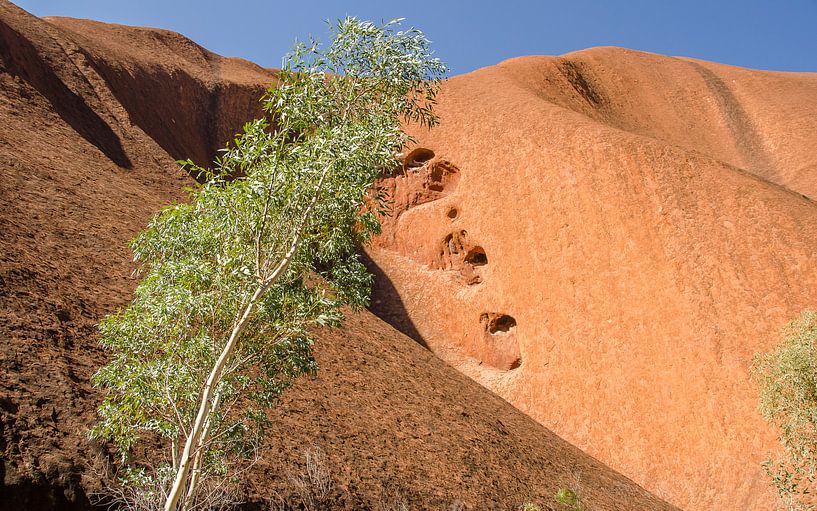 Uluru by Pieter van der Zweep