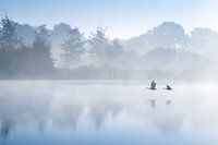 Vorbeiflug - Drentsche Aa