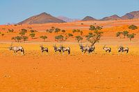 Paysage dans la campagne vierge de Namibie
