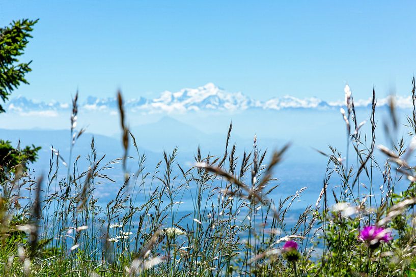 De Mont Blanc von Gijs de Kruijf