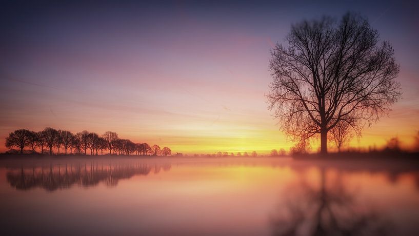 Entlang der Maas #3 von Lex Schulte