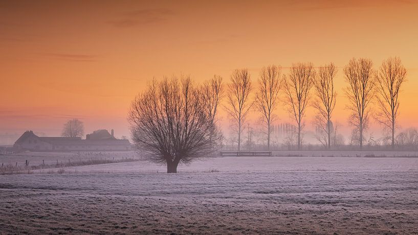White Meadows by Veerle Beeckmans