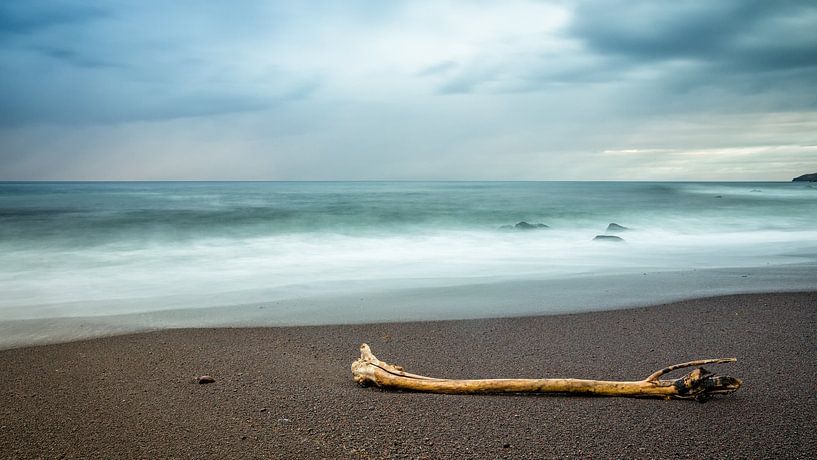 Bois flotté par Silvio Schoisswohl