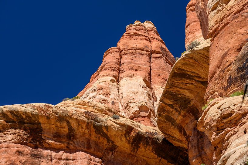 Canyonlands, The Needles District II by Gerry van Roosmalen