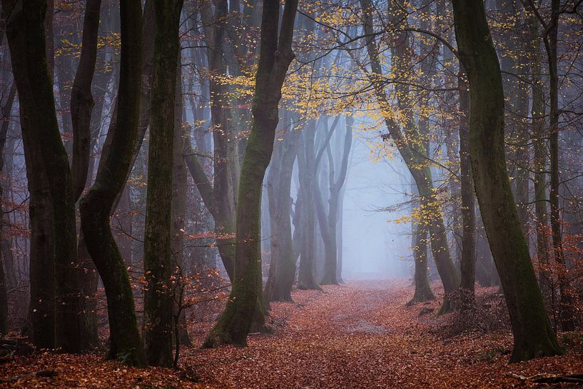 Le passage par Tvurk Photography