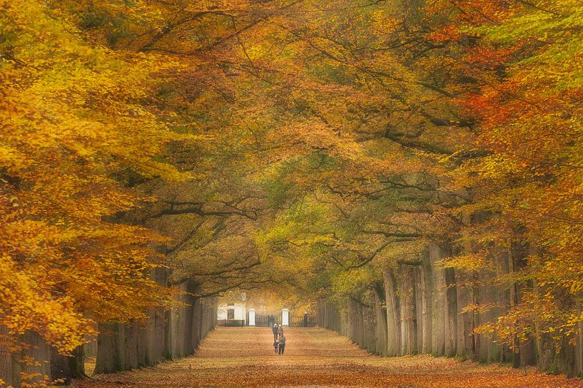Herfstwandeling. par Piet Haaksma