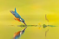 In aller Zen-Einfachheit ...