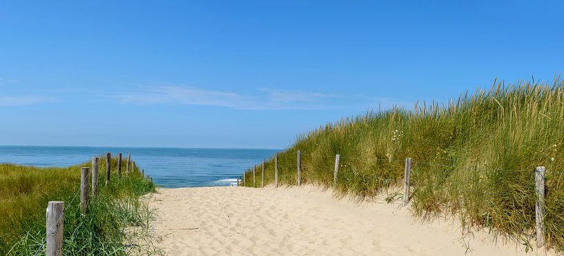 Dunes à la plage avec du Beachgrass lors d'une belle journée d'été sur la plage de la mer du Nord en par Sjoerd van der Wal Photographie