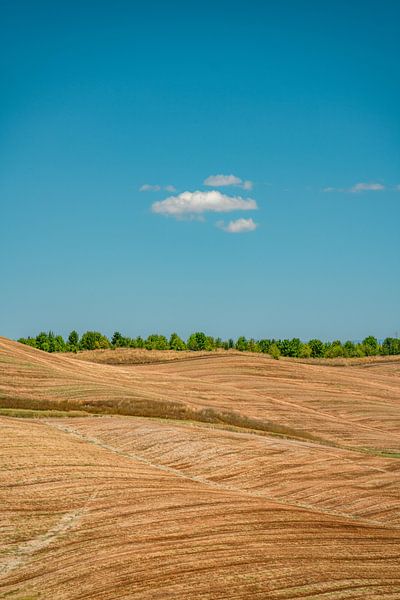 Paysage de Toscane par Leo Schindzielorz
