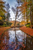 Autumn colours at Paleis het Loo