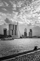 Erasmus bridge in Rotterdam