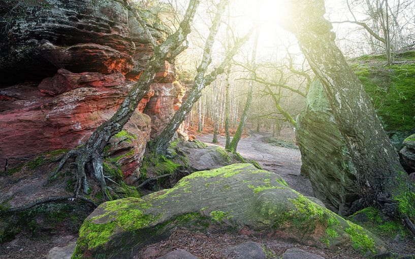Katzensteine, Voreifel, Nordrhein-Westfalen, Deutschland von Alexander Ludwig
