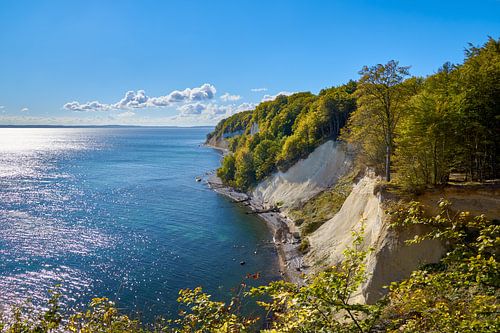 Kreidefelsen auf Rügen im Nationalpark Jasmund von Reiner Würz / RWFotoArt