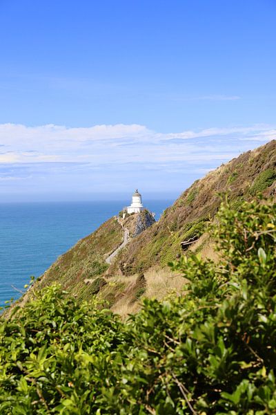 Nugget Point Lighthouse: Infinite Ocean and Iconic Trail by Be More Outdoor