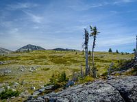 Surrealistisch landschap in het Wells Gray Provincial Park