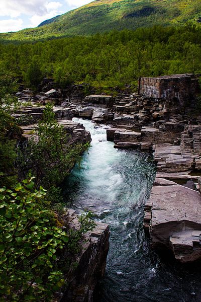 Abisko National Park by Joyce Schouten