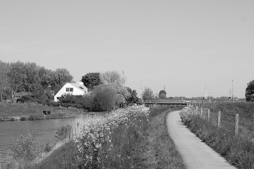 Radweg am Wasser von VenPhoto