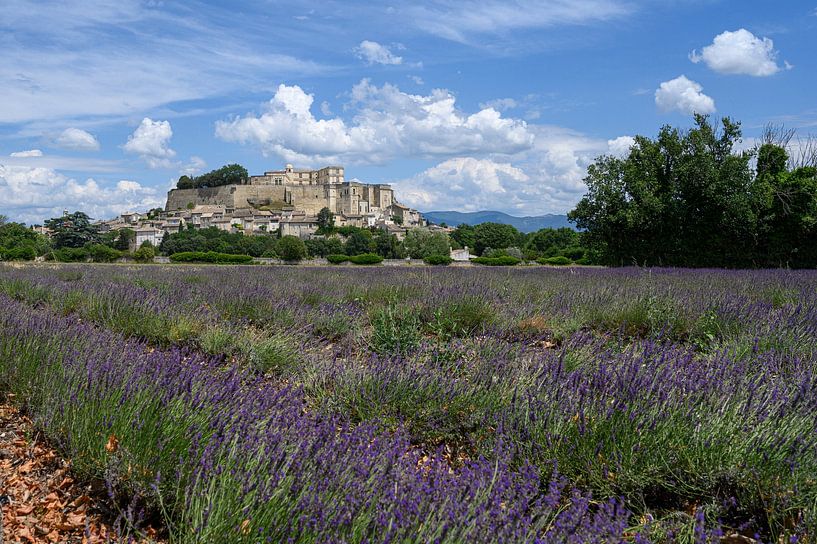 Castle of Grignan, France by Peter Bartelings