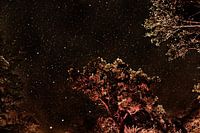 Sterrenhemel Costa Rica