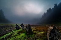 Road into the unknown