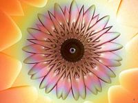 The fate of broken flowers