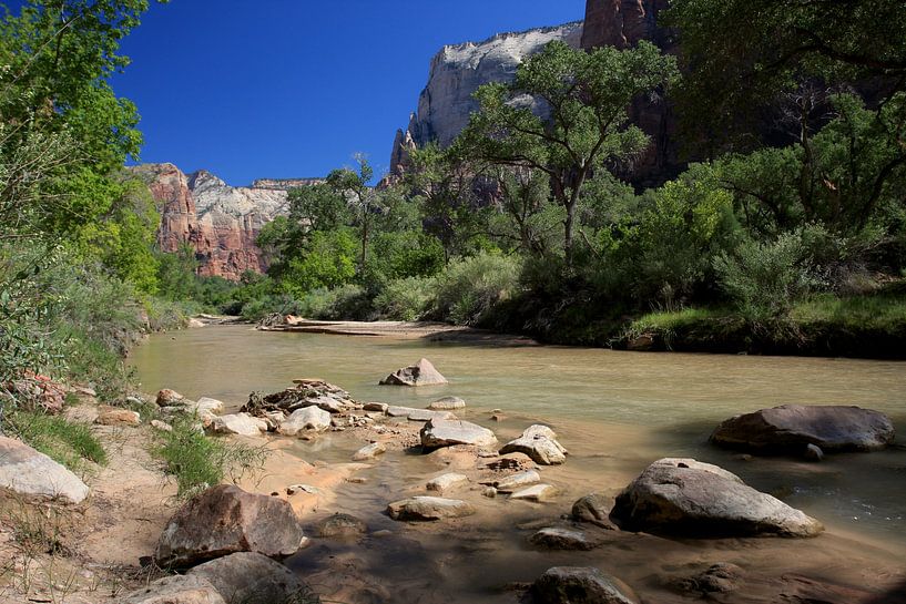 Jungfrauenfluss von Louise Poortvliet