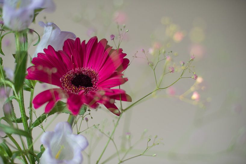 Blumenstillleben von Lisette van Gameren