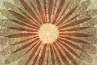 Cercle botanique de feuilles dans les tons de la nature