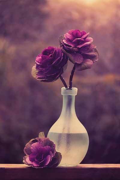 Suzaan von Marina de Wit