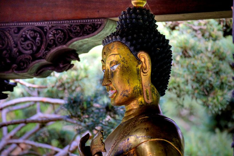 Buddha-Statue im Nepal Himalaya Pavillon Wiesent bei Regensburg von Roith Fotografie