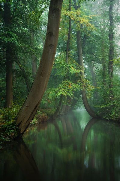 Traumwelt von Martin Podt