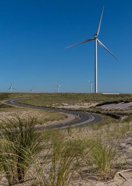 Windmills on the Maasvlakte by Pictures Palumbo