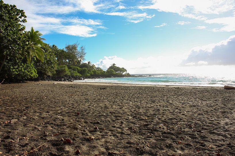 Schöner tropischer Strand von Louise Poortvliet