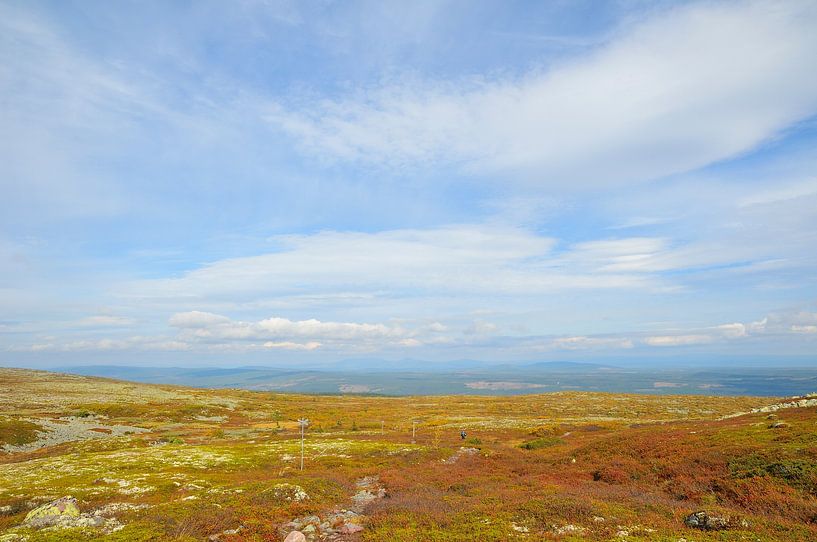 Fulufjället National Park by Karin Jähne