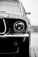 "Ob du glaubst, dass du es kannst, oder ob du glaubst, dass du es nicht kannst - du hast recht.