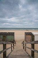 Wooden stairs in the dunes
