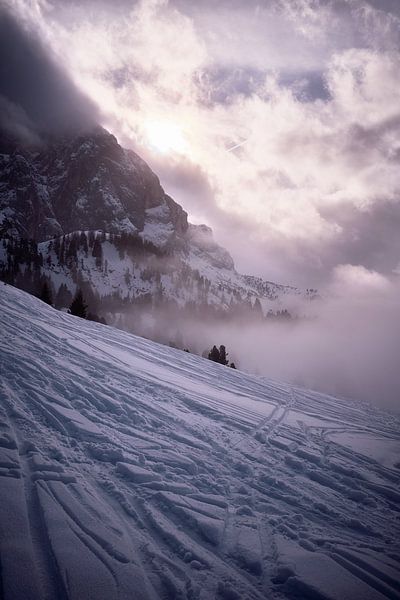 Mysty Morning by Sven Benjamins