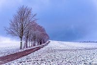 Les monts Métallifères sous la neige