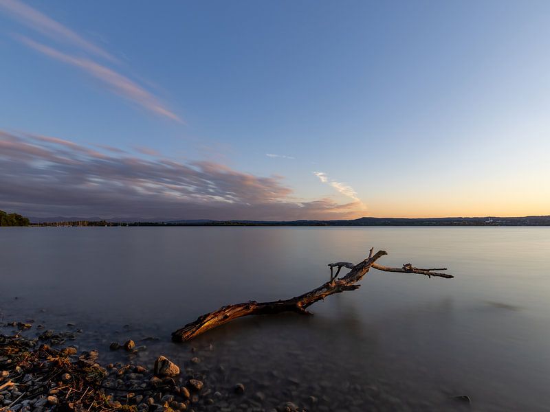 Goldene Stunde am Ammersee von Teresa Bauer