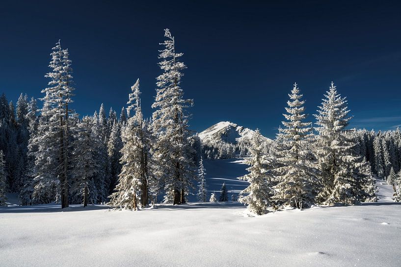 Landschaftsbild im Winter im Tannheimer Tal auf dem Weg zum Pirschling von Daniel Pahmeier