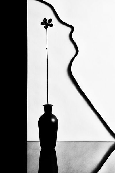 Ohne Titel von Stephen Clough