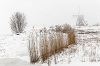 Winter in de Alblasserwaard