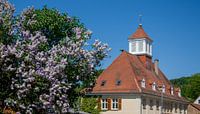 old schoolhouse with lilac bush