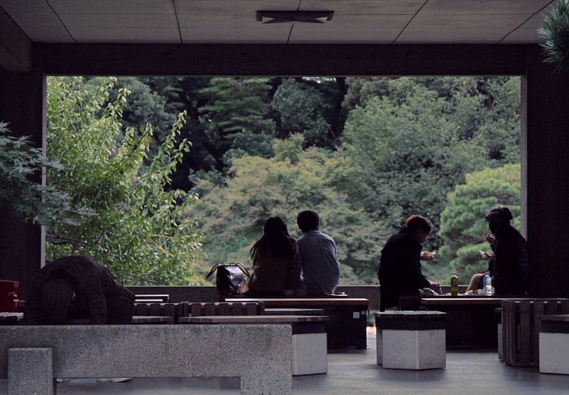 Japan - Herbstnachmittag in Tokyo - Yoyogi-Park von Roger VDB